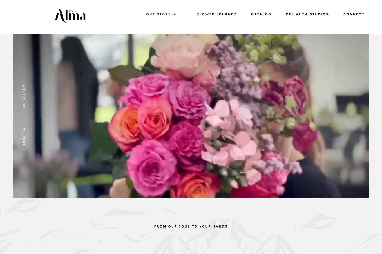Sitio web de Del Alma Group diseñado por Iguana Web